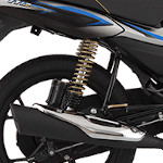 Bajaj Platina 110